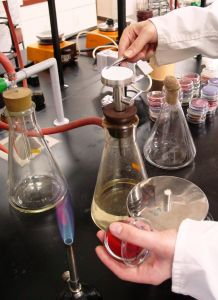 Ekspertyzy kryminalistyczne